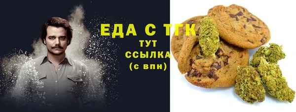 spice Богородицк