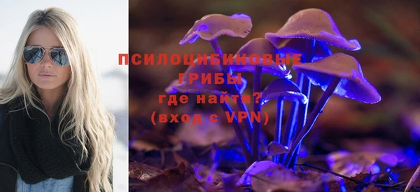гидропоника Богданович