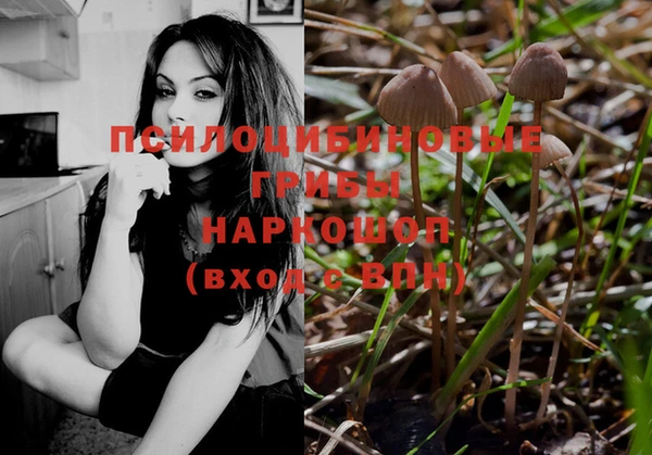 трава Бронницы