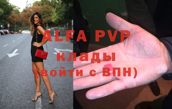 spice Богородицк