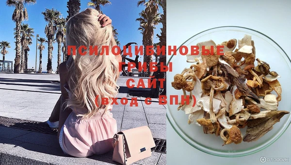 ALPHA PVP Богородск