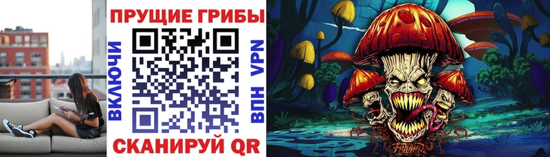 Псилоцибиновые грибы Psilocybine cubensis  MEGA ONION  Калуга 